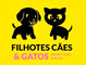 Filhotes Cães e Gatos -  Embu das Artes